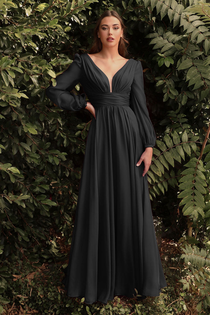 Chiffon Long Sleeve Dress-smcdress