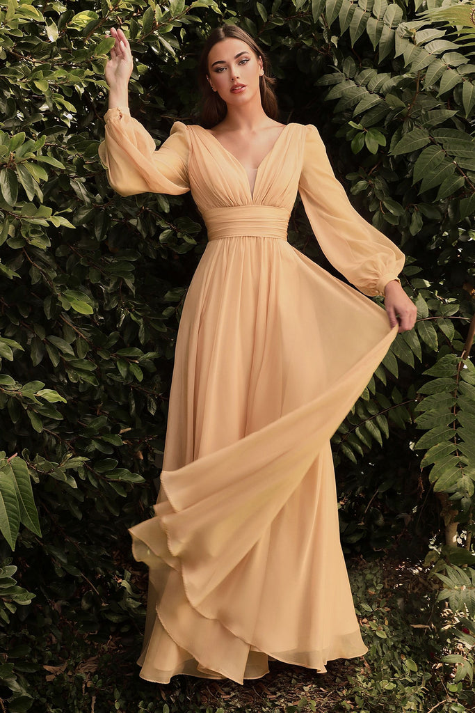 Chiffon Long Sleeve Dress-smcdress