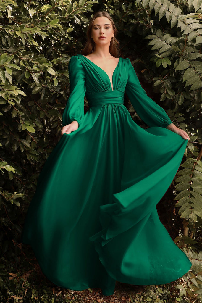 Chiffon Long Sleeve Dress-smcdress