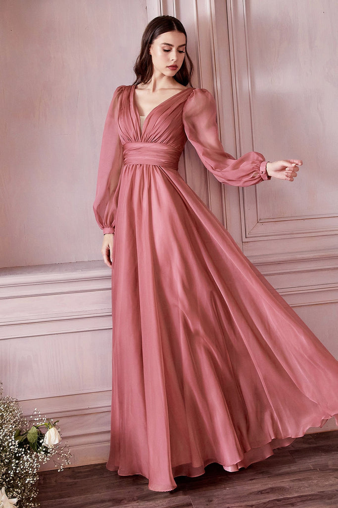 Chiffon Long Sleeve Dress-smcdress