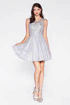 Tulle short dress with glitter detail and illusion neckline-smcdress