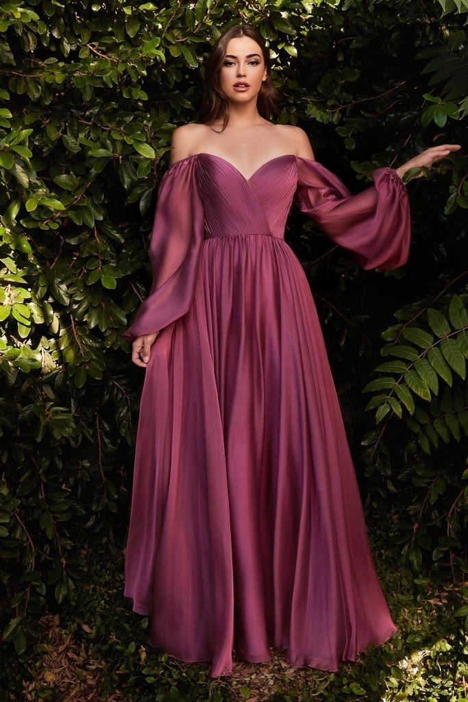 LONG SLEEVE CHIFFON A-LINE DRESS-smcdress