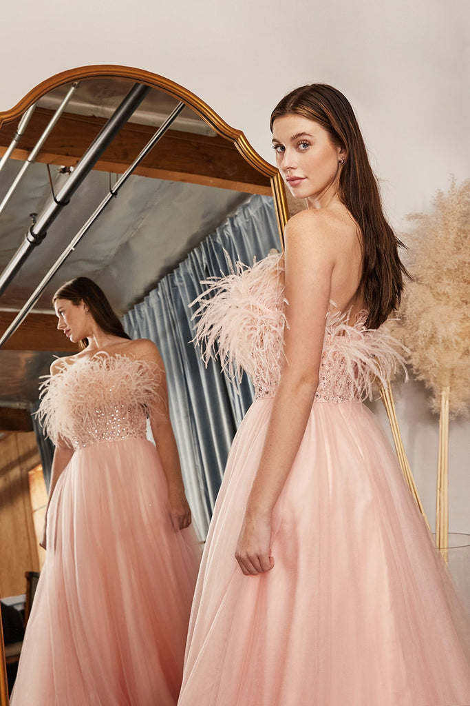 Feather Ball Gown - Strapless-smcdress