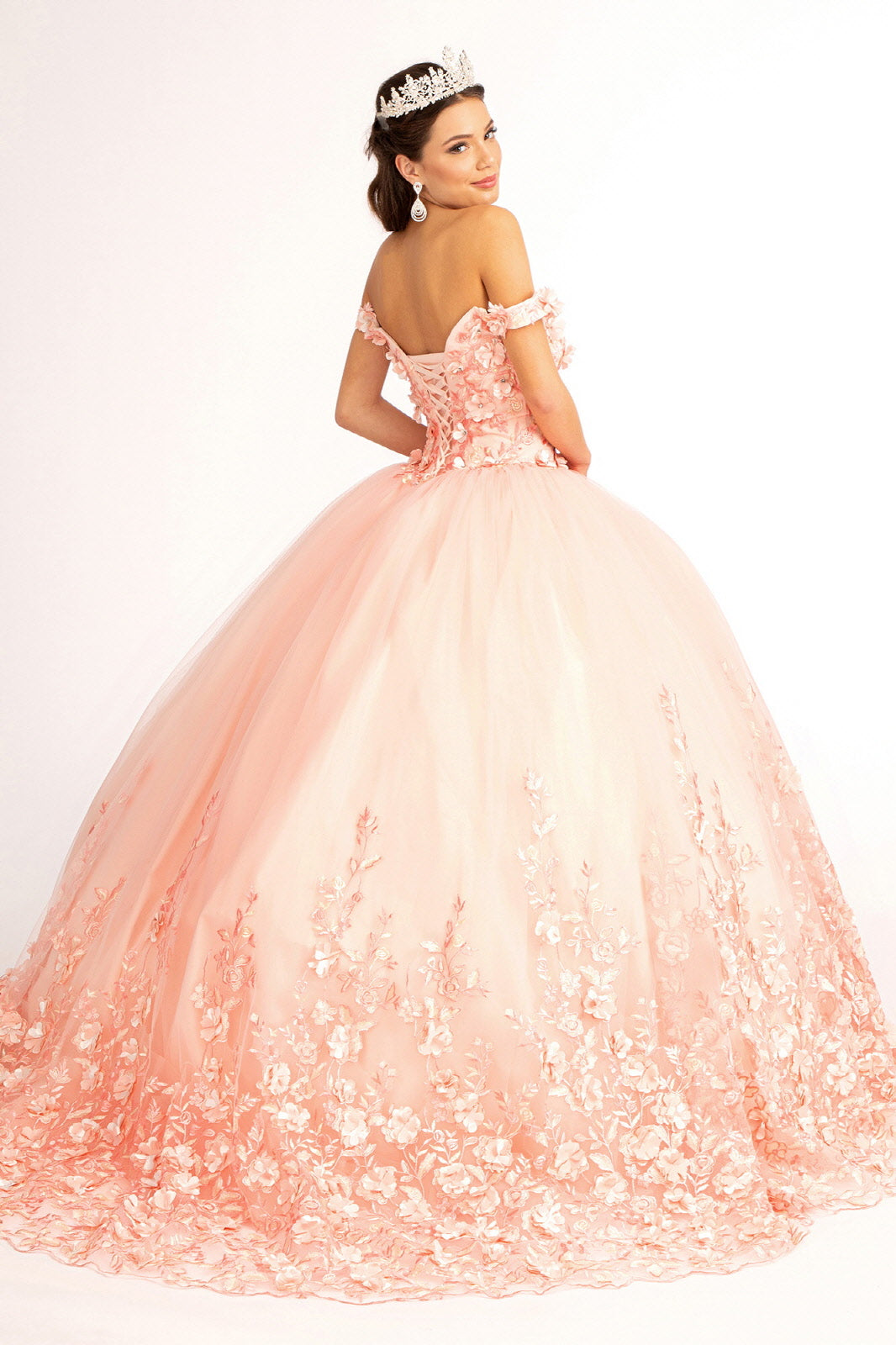 3D Floral Applique Embellished Quinceanera Dress-smcdress