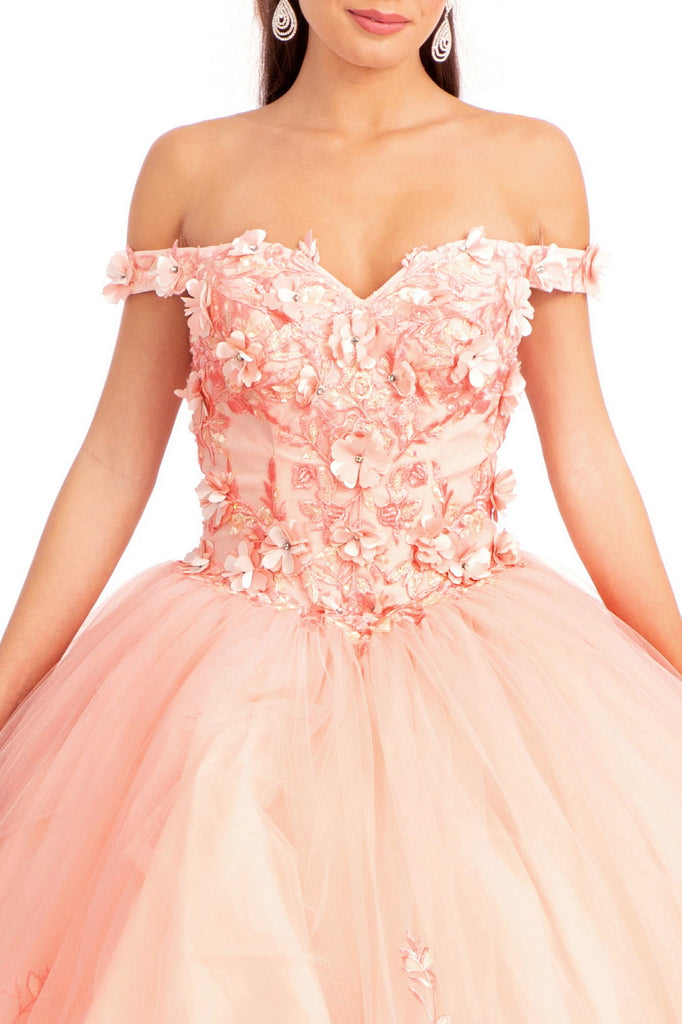 3D Floral Applique Embellished Quinceanera Dress-smcdress