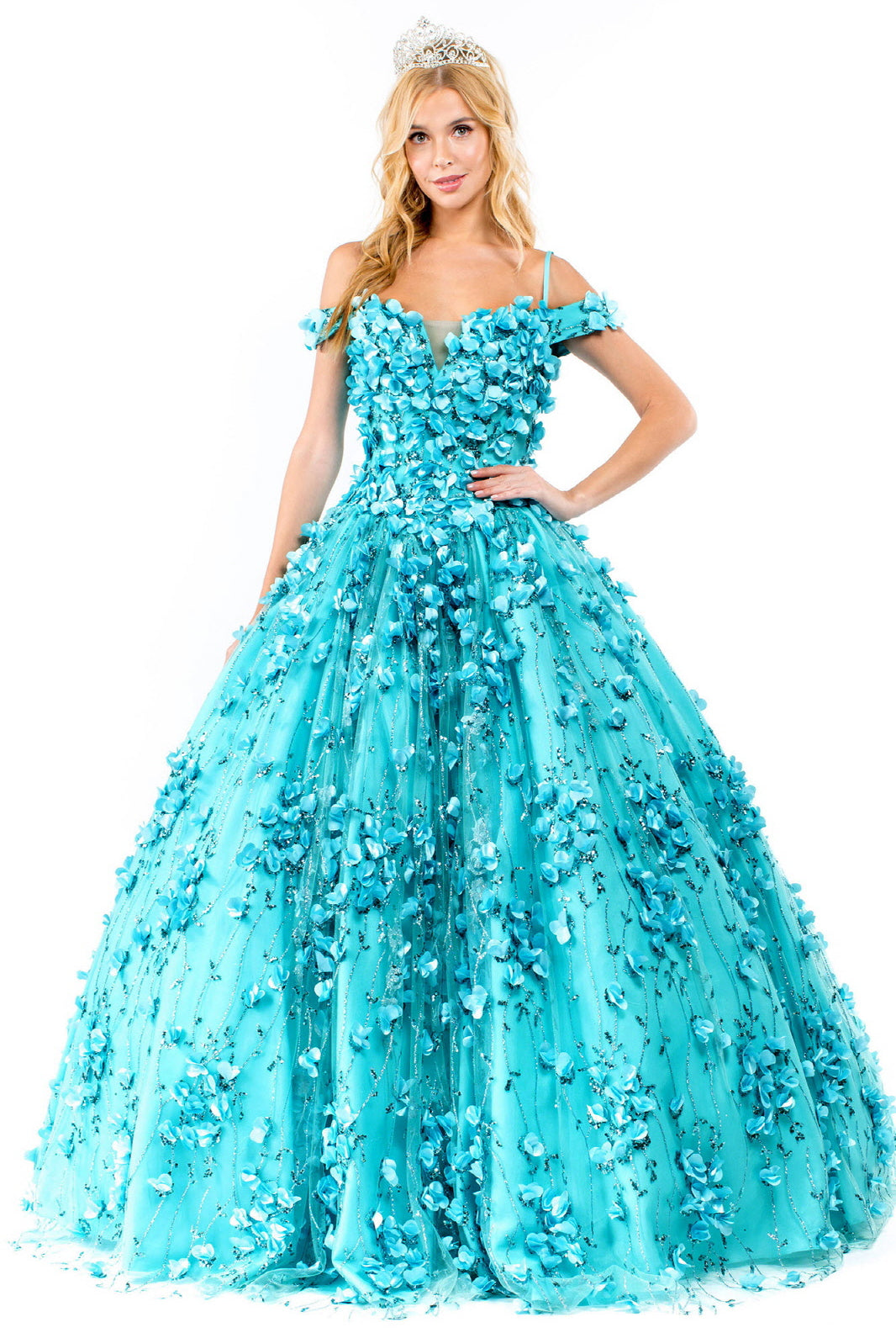 Floral Applique Glitter Mesh Quinceanera Dress-smcdress