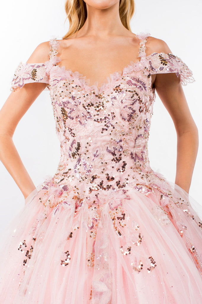 Embroidery Embellished Glitter Mesh Quinceanera Dress-smcdress