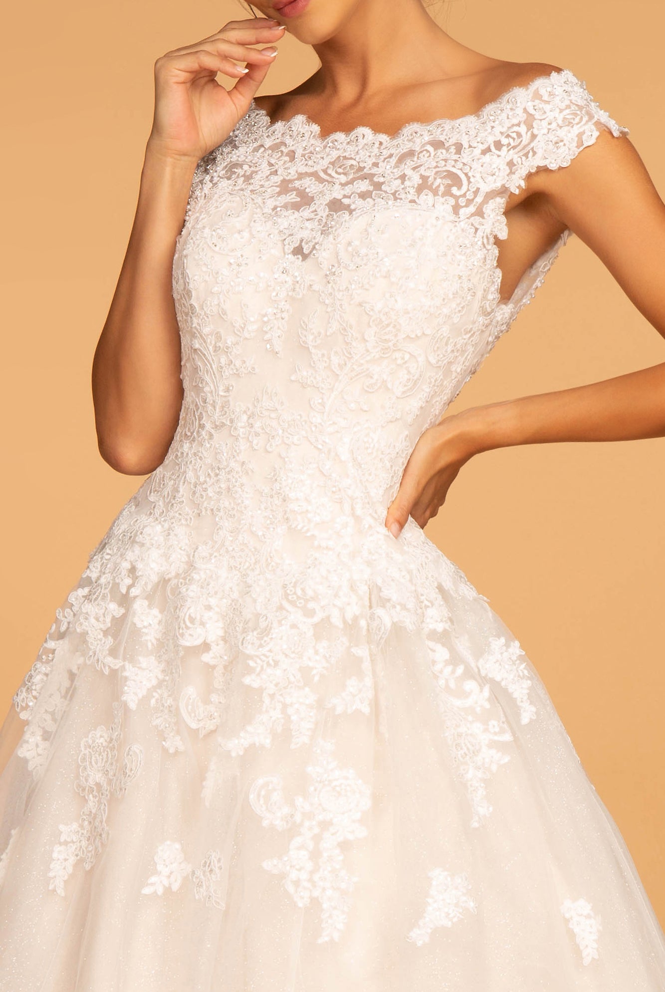 Embroidered Mesh A-Line Wedding Gown-smcdress
