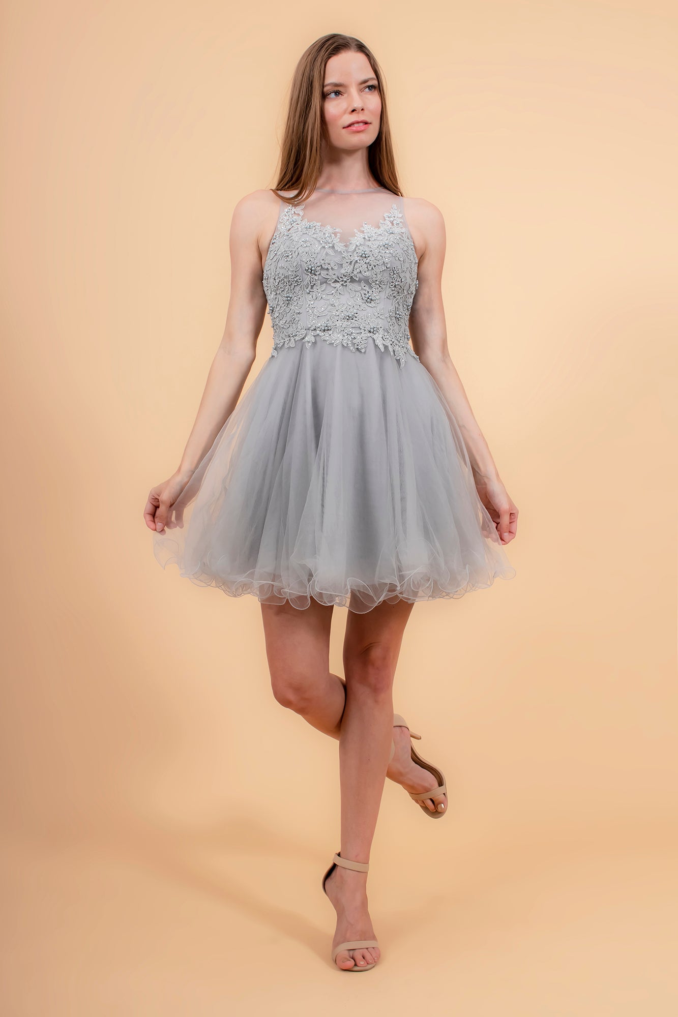 Embroidered Bodice Tulle Short Dress-smcdress