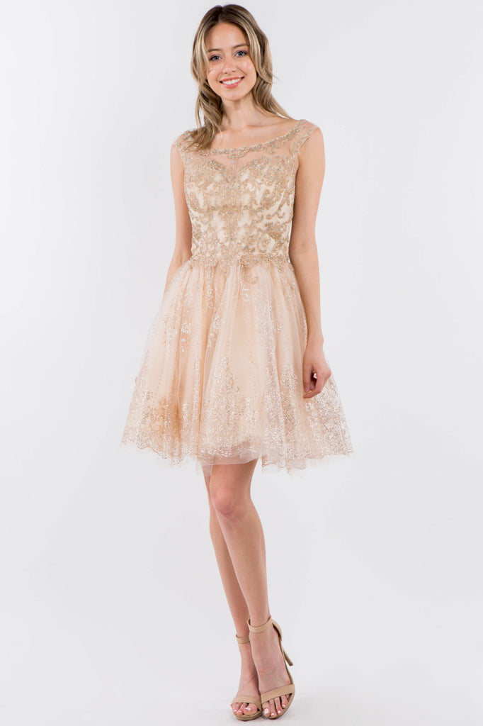 Embroidery Embellished Bodice Glitter Pattern Skirt Short Dress-smcdress