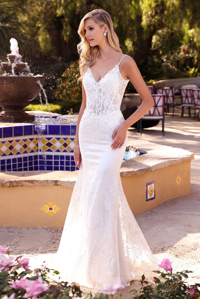 Fitted lace mermaid gown-smcdress