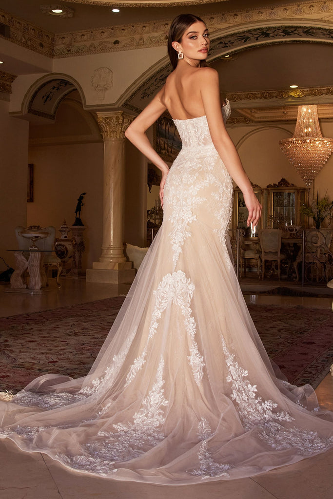 Back of bridal dress with removable sleeves